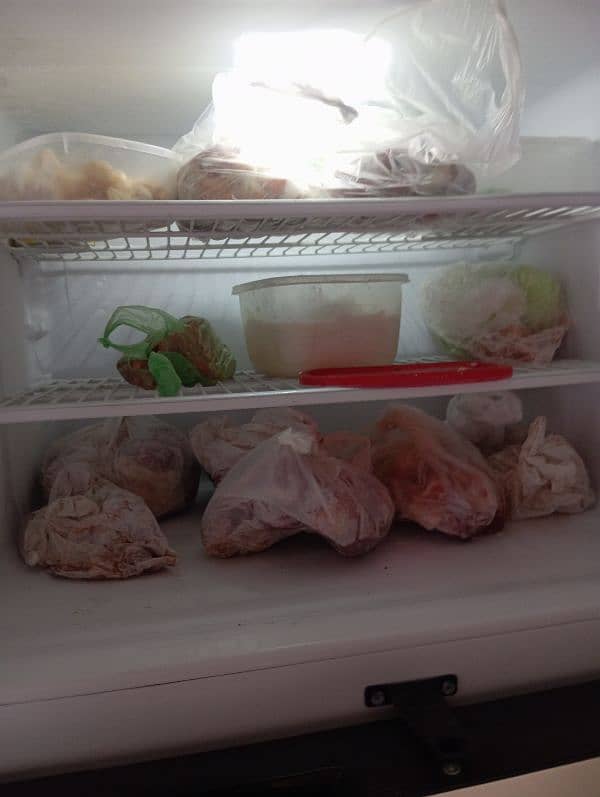 dawlance full size fridge 91999 model 2