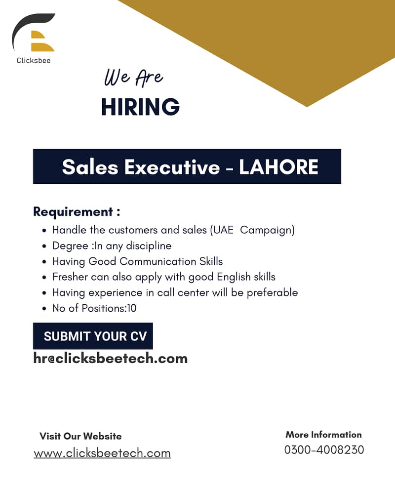 Sales Executive 0