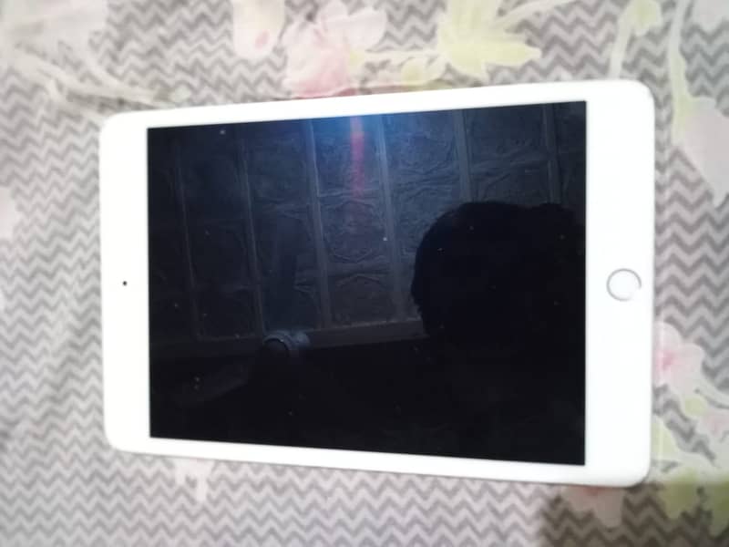 IPad mini4 WiFi 128gb 1