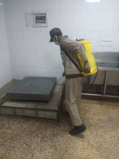 Fumigation Job Offer