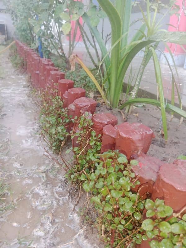 cement bamboos for lawn border 1