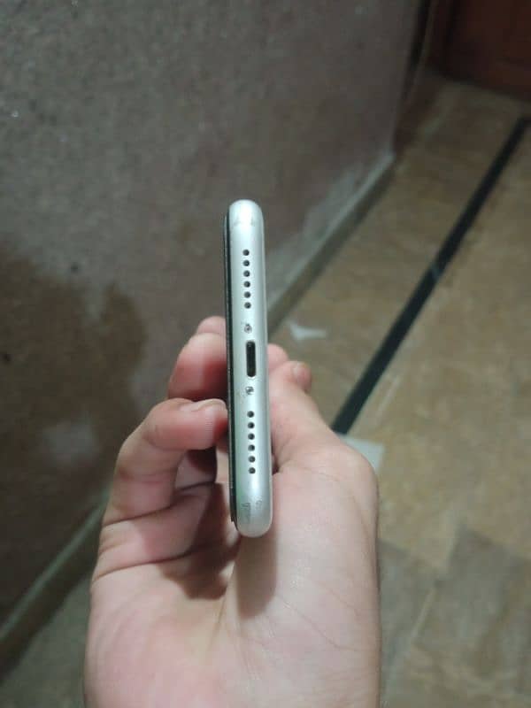 iphone XR 3
