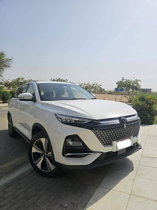 Changan Oshan X7 2024 2