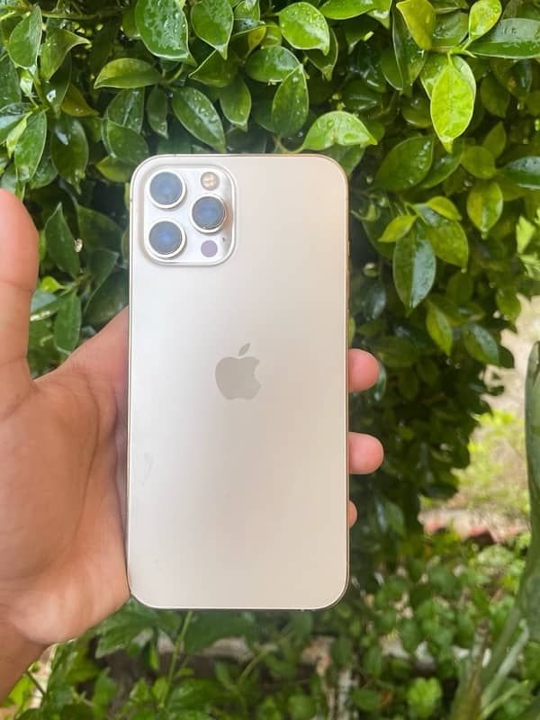 Iphone 12 Pro Max 256GB PTA Approved 0