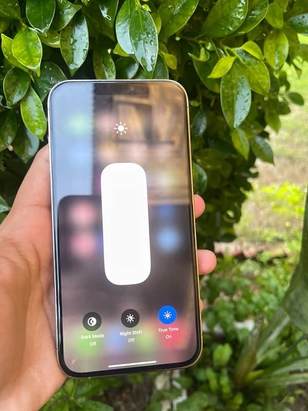 Iphone 12 Pro Max 256GB PTA Approved 2