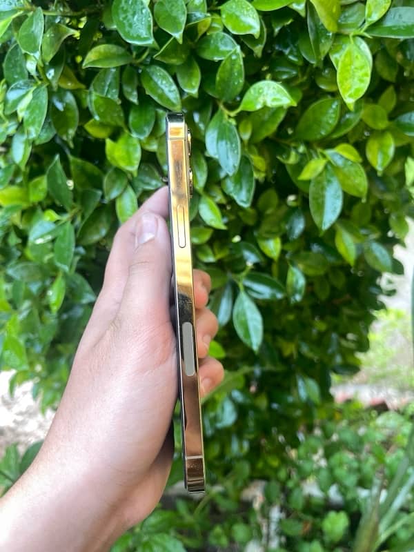 Iphone 12 Pro Max 256GB PTA Approved 4
