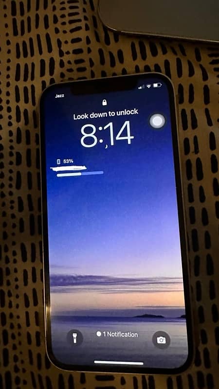 iPhone 12 PTA APPROVED 0