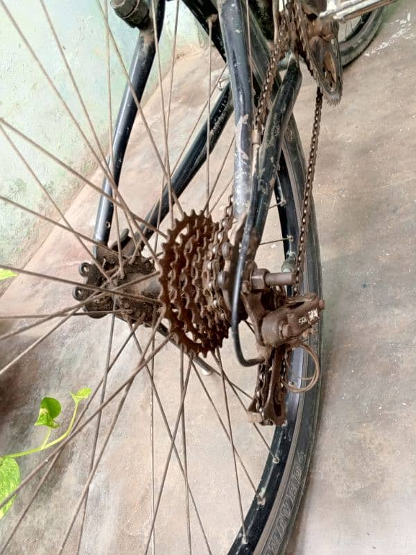 Bicycle 2