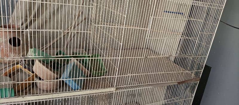 Heavy wire cage for sale 4