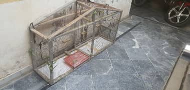 Birds cage