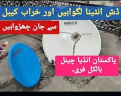 dish