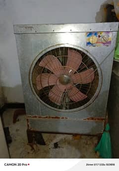 Lohari