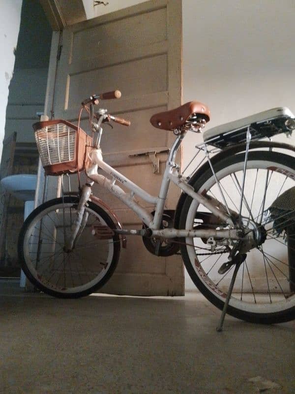 Bicycle for adults imported from china 1