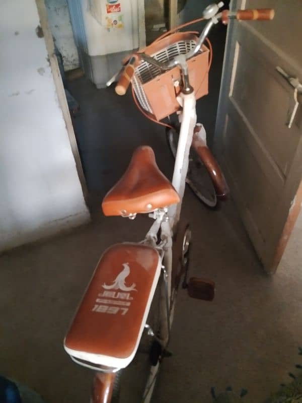 Bicycle for adults imported from china 3