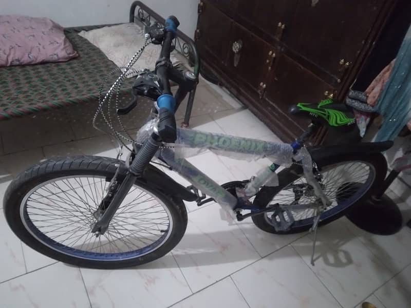 Phoenix Cycle 2