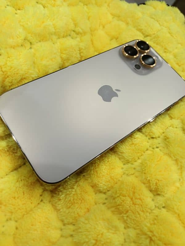 iPhone 13 pro max 1
