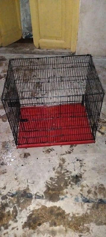 parrot and hen  cages 1