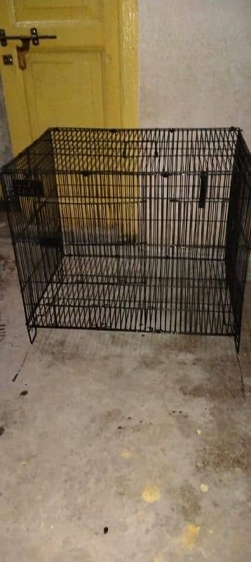 parrot and hen  cages 2