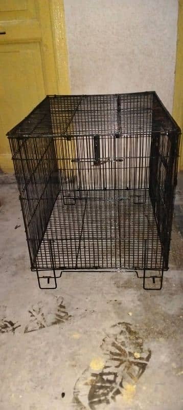 parrot and hen  cages 3