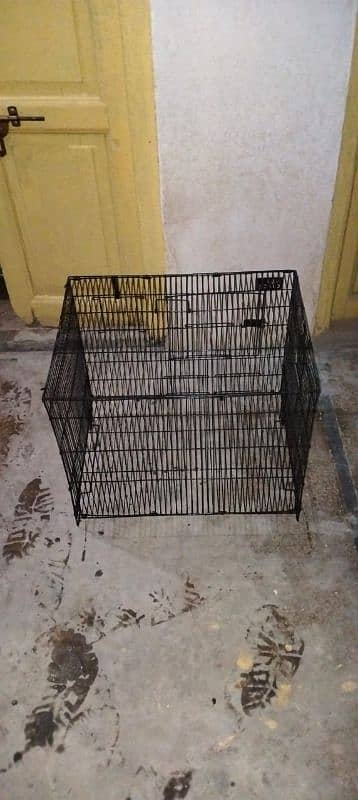 parrot and hen  cages 4