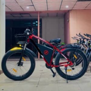 AM Electric Cycle Brand