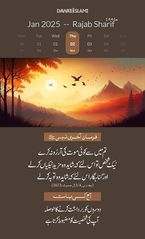 sales Desi Hen 16