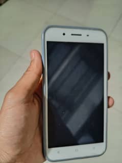 Y66