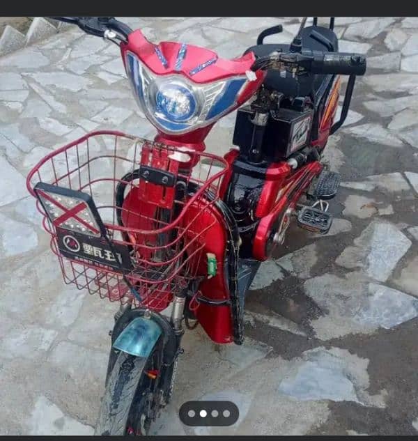 electric Bicycle 0