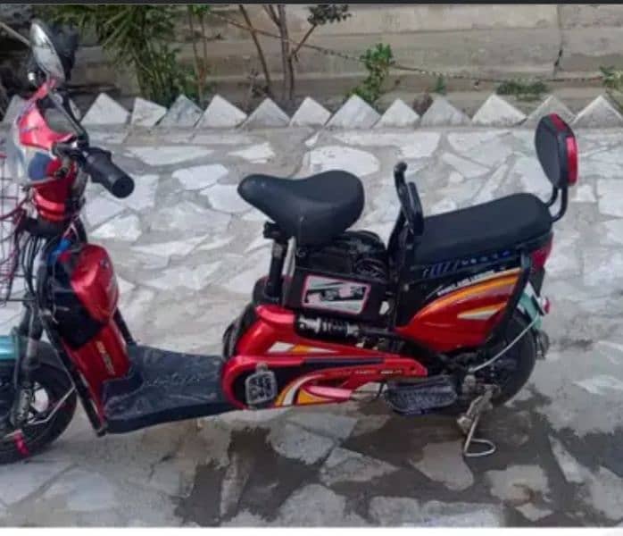 electric Bicycle 1