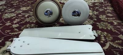 Ceiling