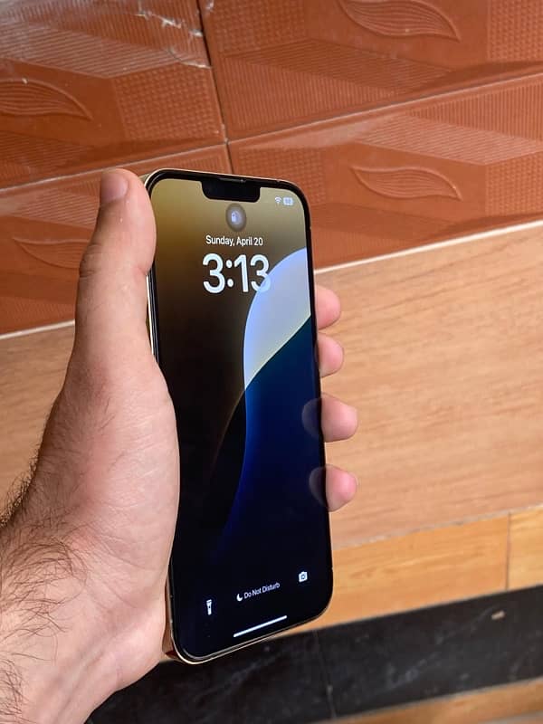 iphone 13 pro max 1