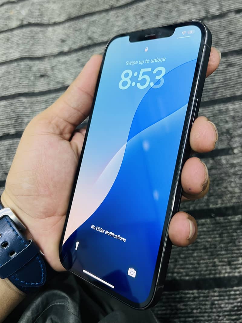 12 pro max 4