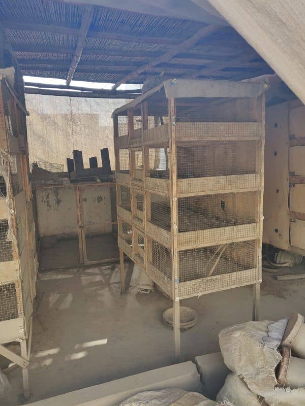 3 incubator urgent sell 3