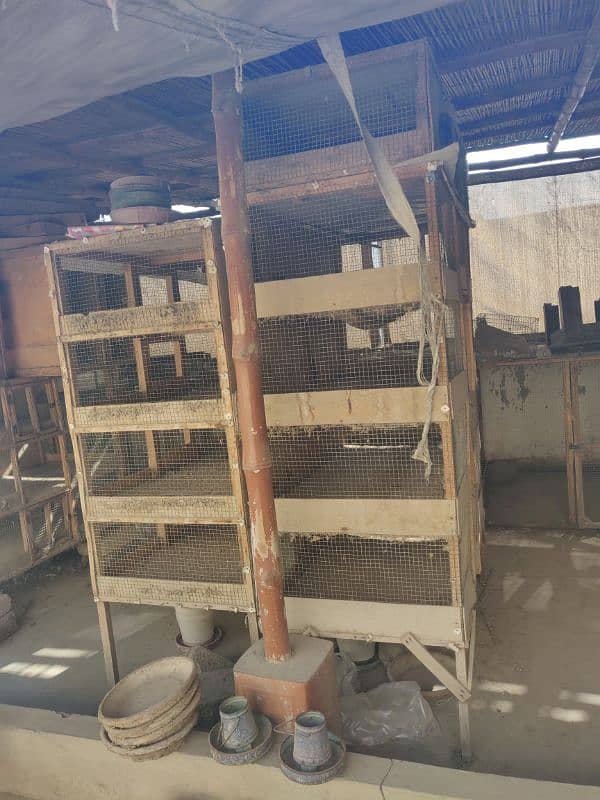 3 incubator urgent sell 4