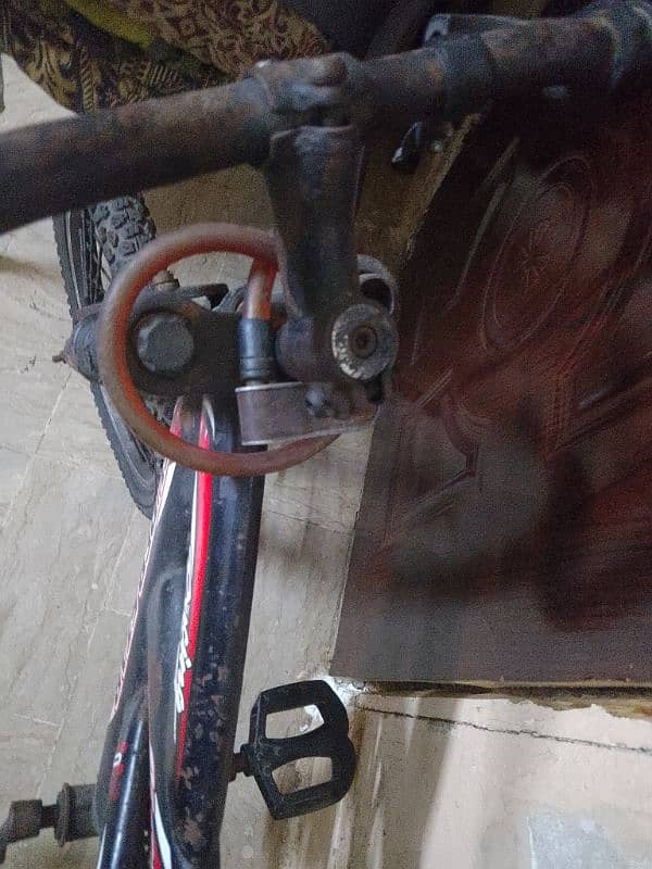 super star  cycle 1