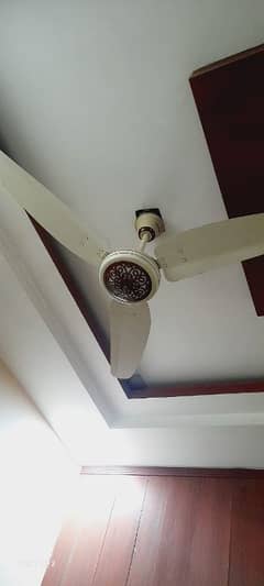 celling