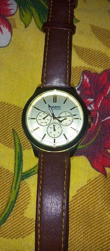 Casio v300 1