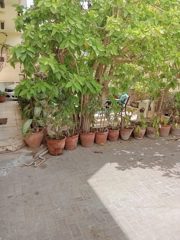 Upper Portion Available for Rent in Phase 1 DHA 2