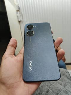 vivo