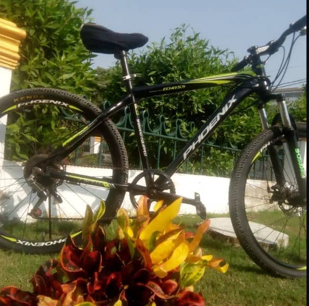 phoenix bicycle with 7gear and 2original disk brake 1