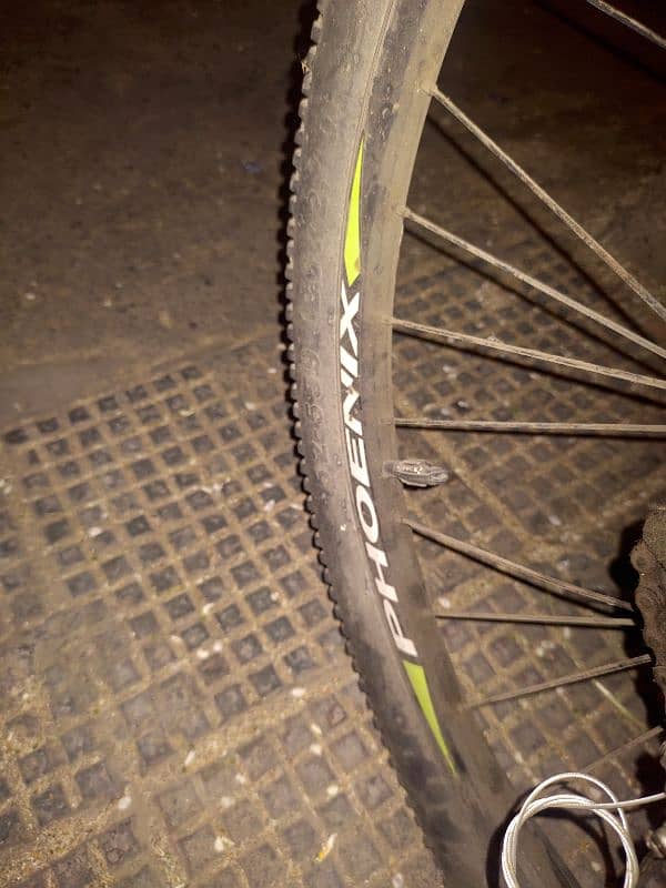 phoenix bicycle with 7gear and 2original disk brake 4