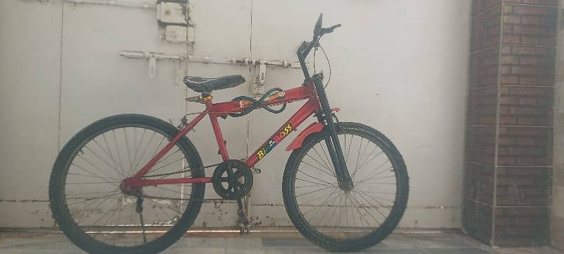 Cycle 4