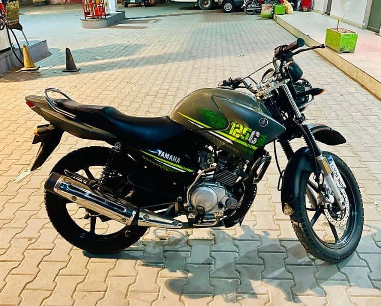 ybr 125g neat and clean golden number 2