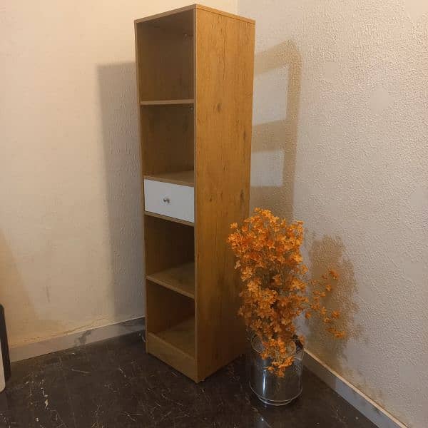 book shelf 2