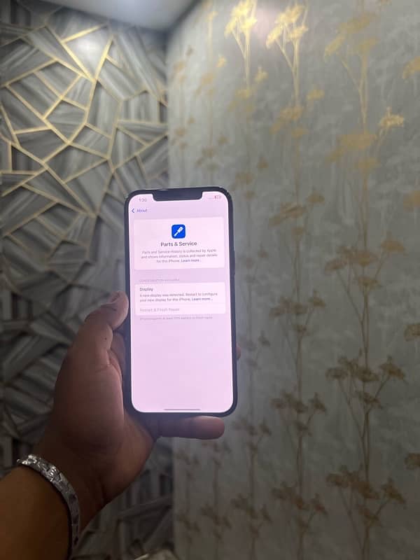 IPhone 12 pro max 2