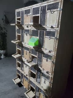 CAGE S NEW