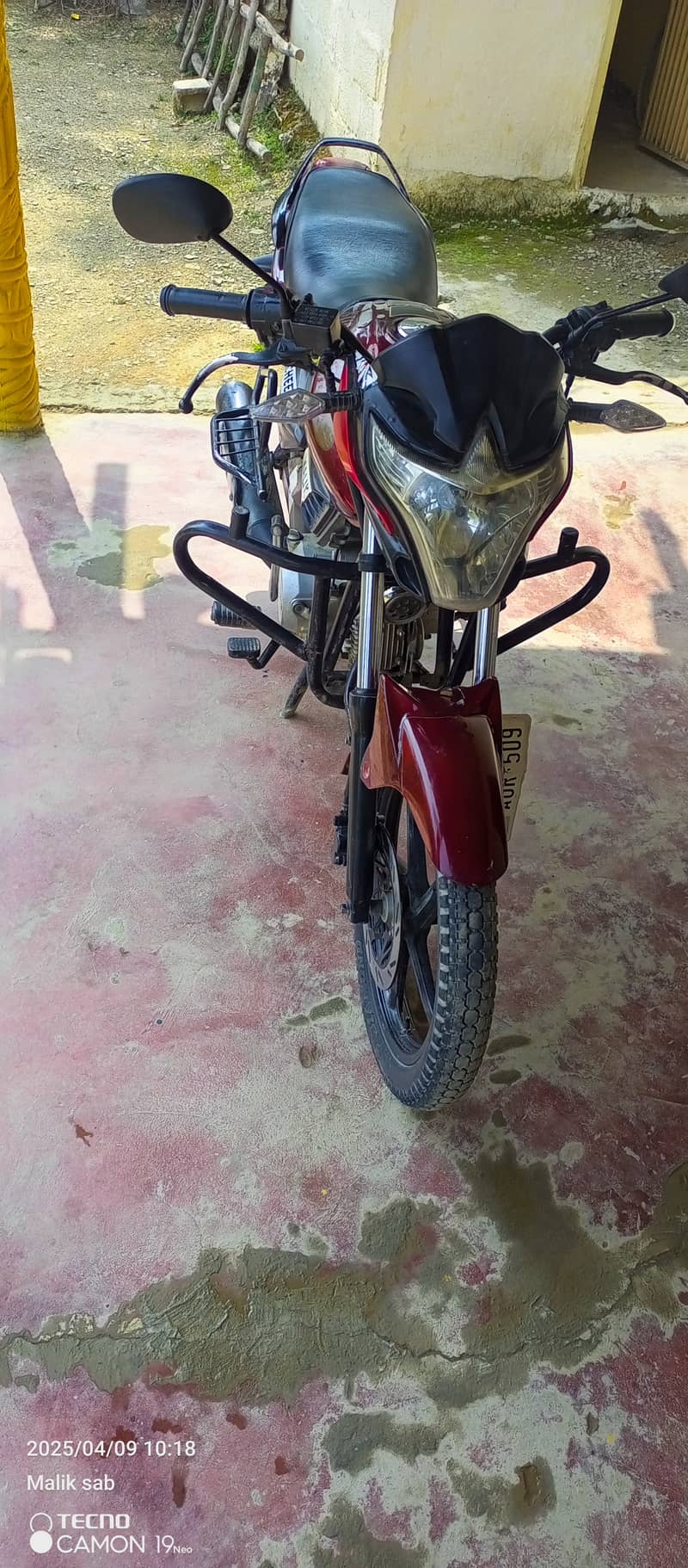 Super Power SP 110 Cheetah 2018 0