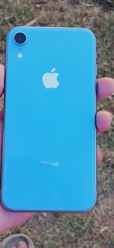 IPhone Xr With Lush Condition 0