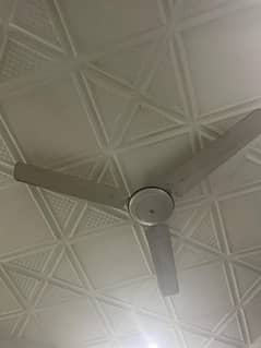 fan. . . .