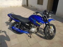 bike  all ok ha koua  kam nhy  honey wal